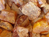 Resina de PINHEIRO - 20 Gr